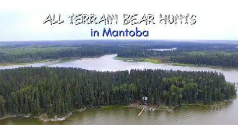Moose big game hunting packages — All Terrain Bear Hunts – All Terrain Bear Hunts